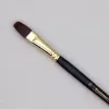 Acrylic Colour Brush Filbert, size 12