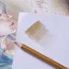 Coloured Pencils 12 pcs Metallic