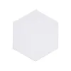 Hexagon Canvas 10 cm
