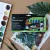 Gouache Set 12 x 12 ml