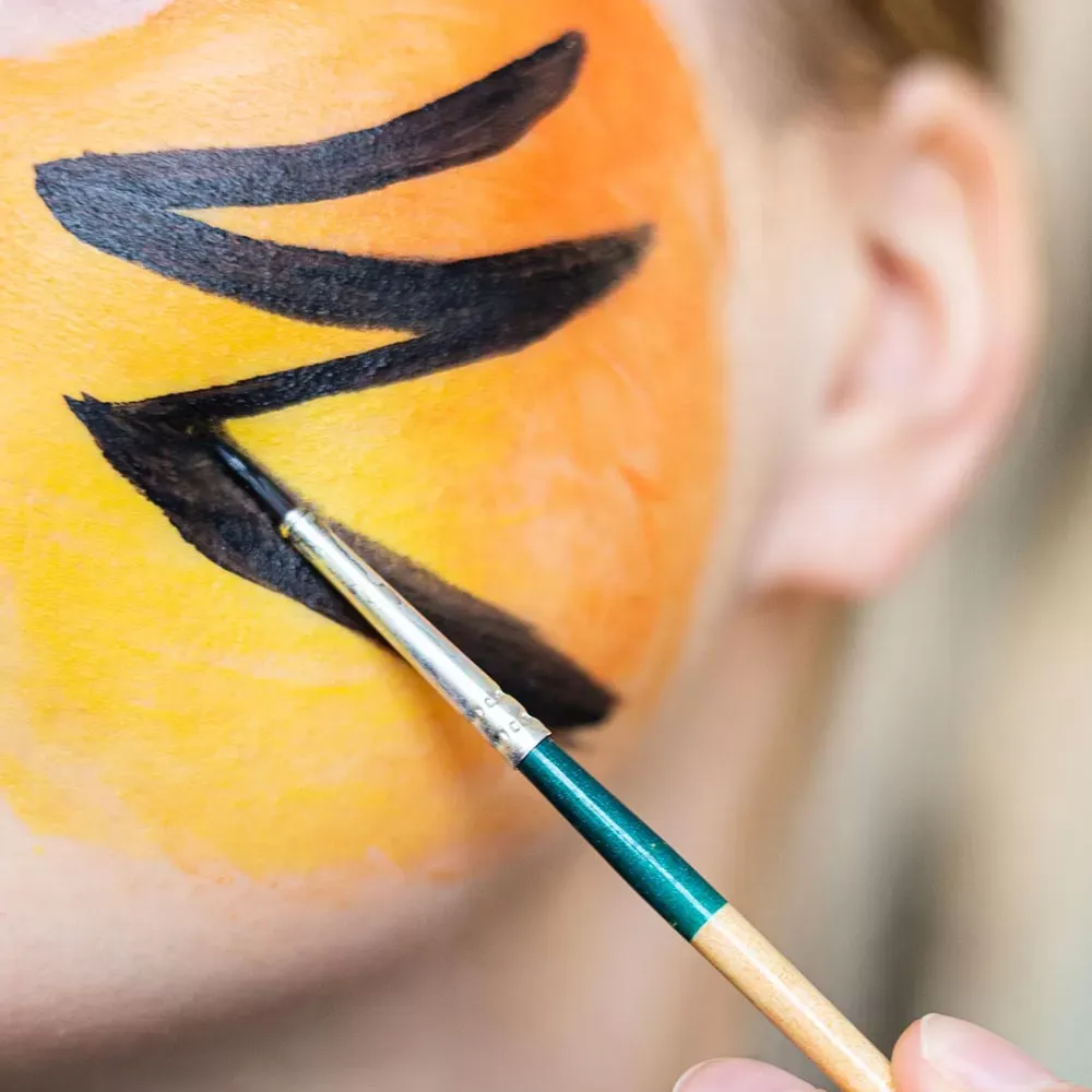 Kasvomaalisetti, 12 väriä